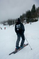 Skistöcke