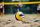 Volleyball-Set