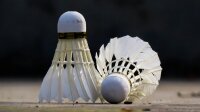 Federball