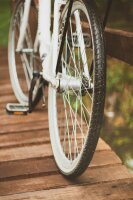 Fahrrad-Reifenset